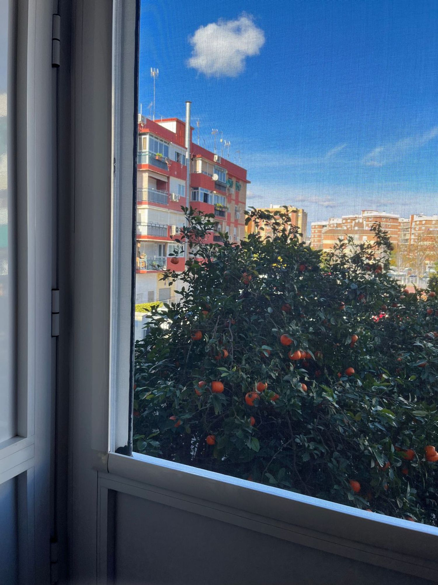 Piso en calle Levante s/n - Foto 13