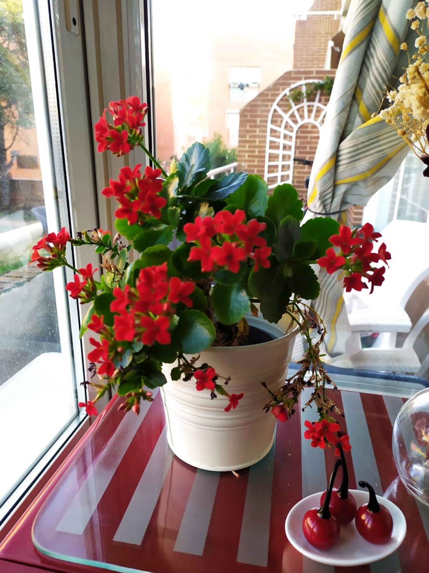 Dúplex en Barrio Prado de Santo Domingo - Foto 6