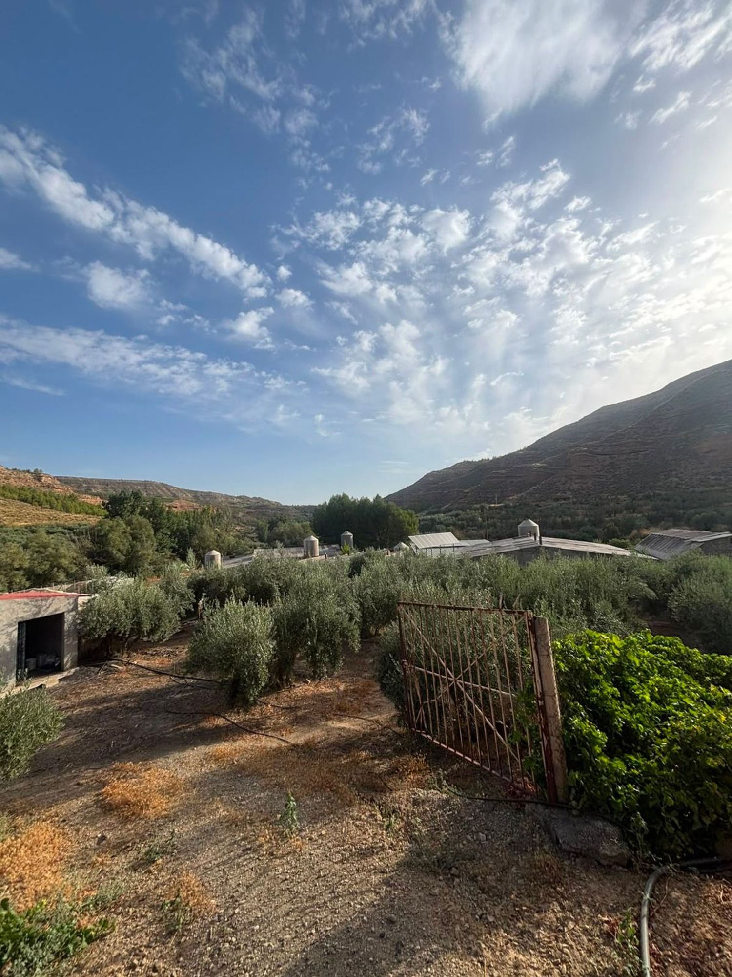 Cortijo en Cortijo en Carretera de Belerda s/n - Foto 12