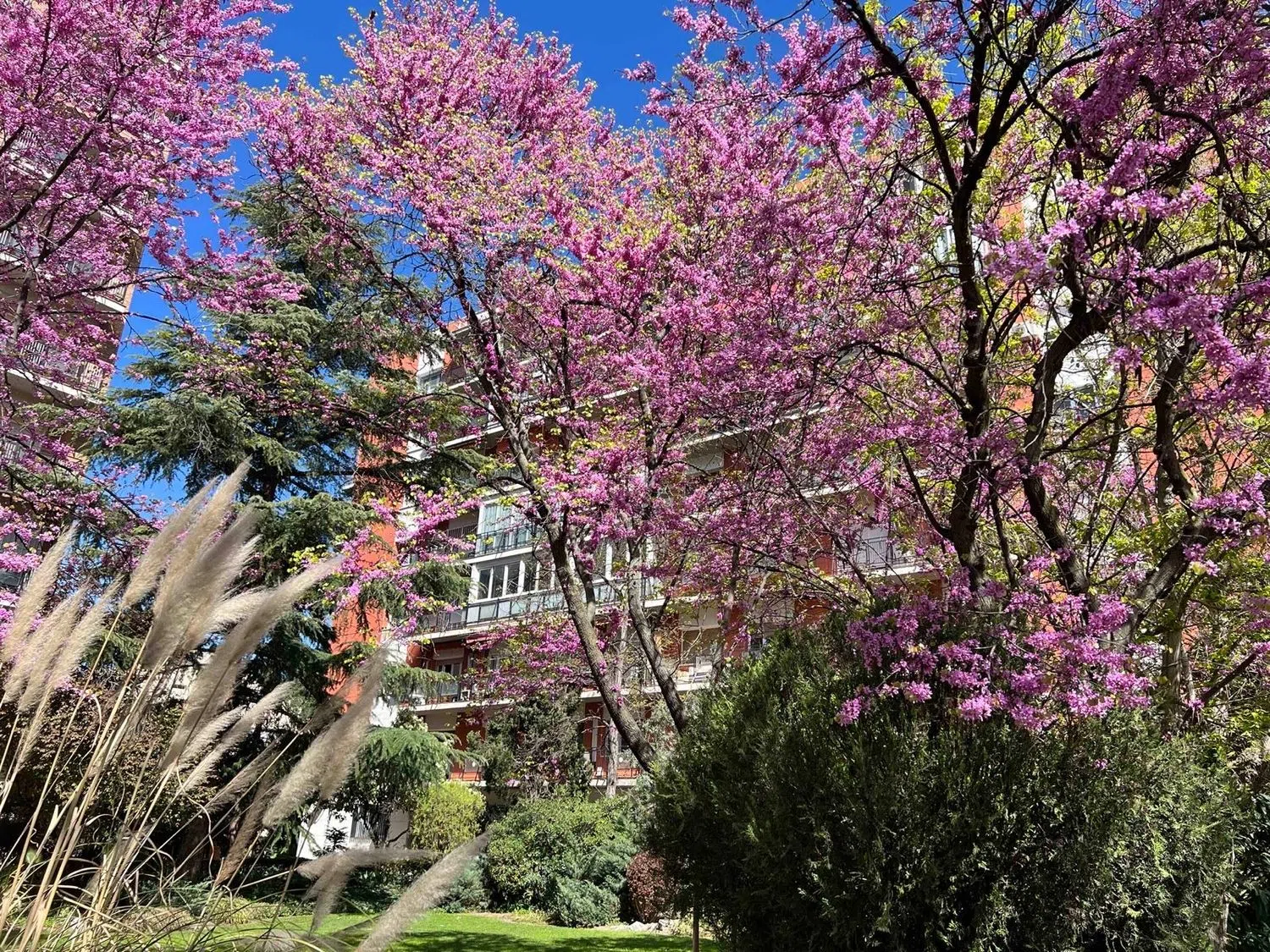 Piso en paseo de la Castellana, 225