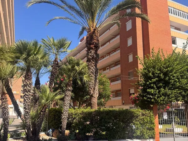 Piso en Calle Rocio, 1, Punta Prima, Punta Prima - Foto 32