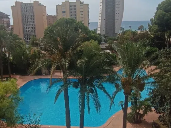 Piso en Avenida Marina Baixa, 1, Playa de Poniente, Playa de Poniente - Foto 1