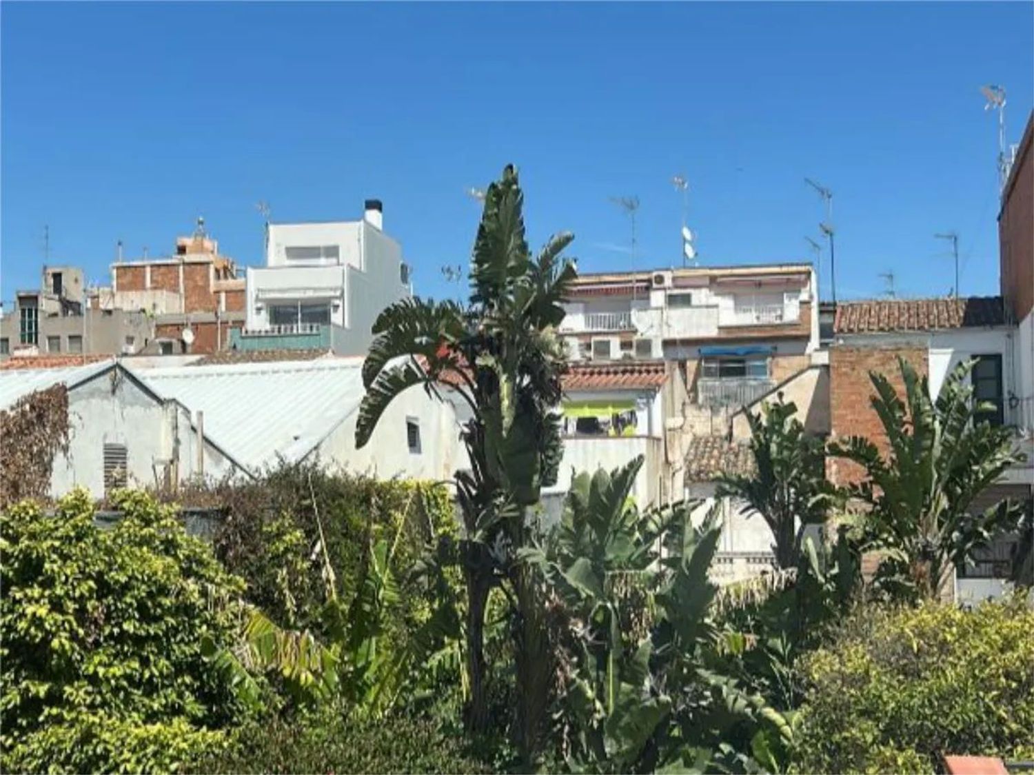 Casa o chalet independiente en Calle de Sant Francesc d'Assís, 19 - Foto 17