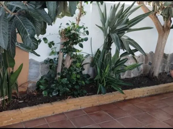 Chalet adosado en Urbanización C.R.las Torres, 171, La Barrosa, La Barrosa - Foto 8