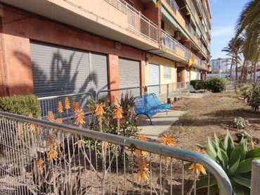 Local comercial en Alicante / Alacant - Foto 2