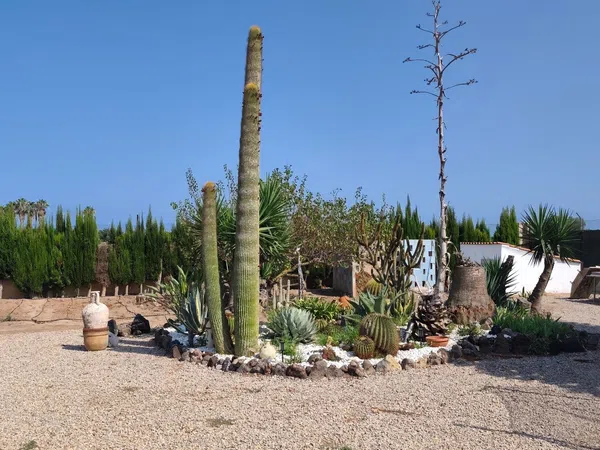 Finca rústica en Camino de Almarda, 11, Centro - El Castillo, Centro - El Castillo - Foto 11