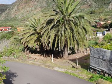 Finca rústica en  Carretera el Palmar 18 - Foto 1
