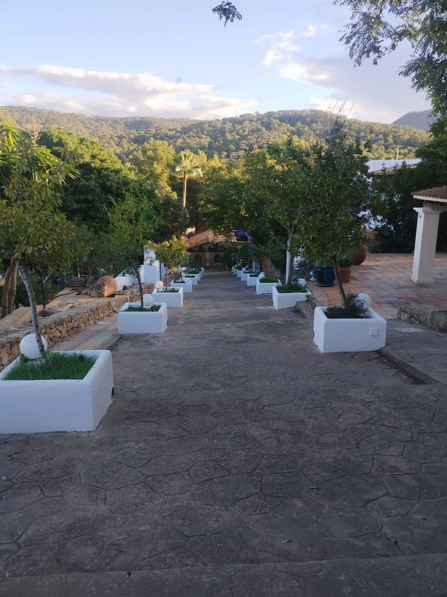 Estudio en Calle Calvià, 35, Cala Vedella - Cala Tarida - Cala Conta, Cala Vedella - Cala Tarida - Cala Conta - Foto 18