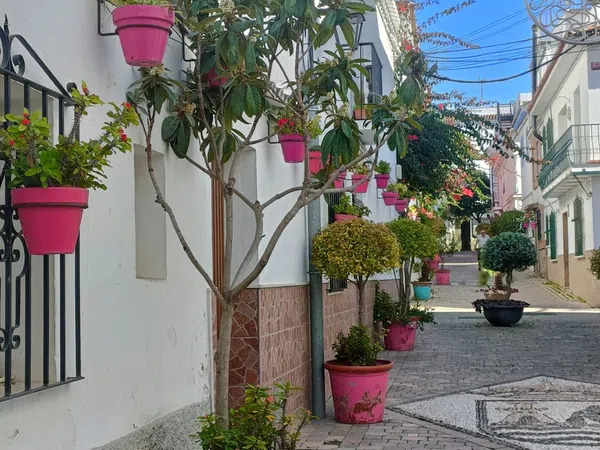Casa o chalet independiente en Calle Ramón y Cajal, 24, Centro - Foto 17