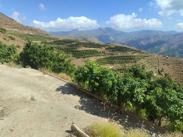 Cortijo en Cortijo en Camino de Río Seco, 36, El Rescate - Río Seco, El Rescate - Río Seco - Foto 29