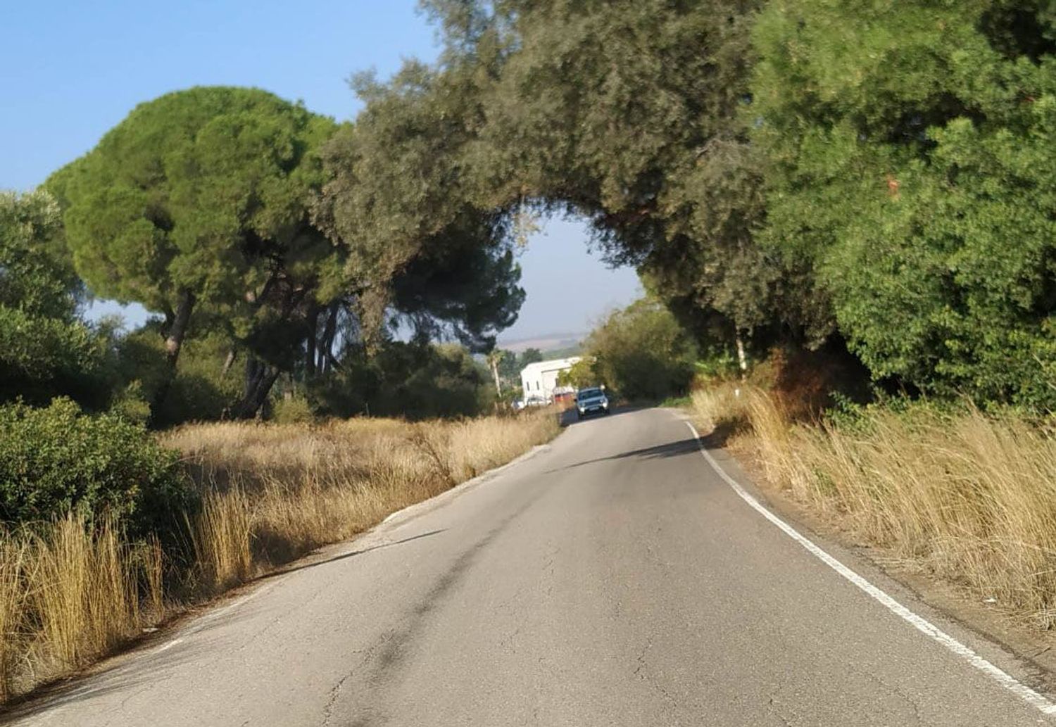 Finca rústica en Diseminados dirección a Puñanilla s/n - Foto 32