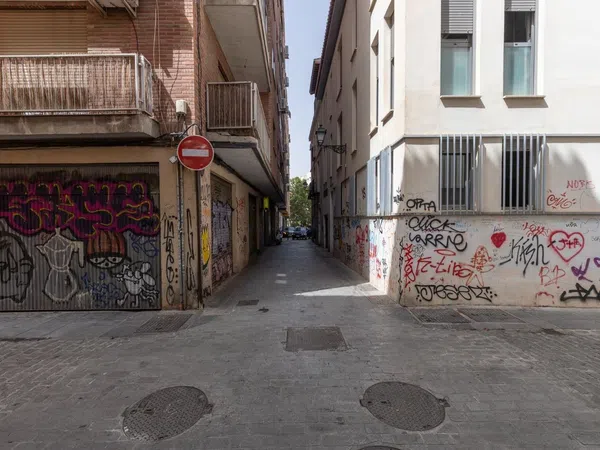 Piso en Calle Horno de Abad, 2, Jardín Botánico - Foto 29