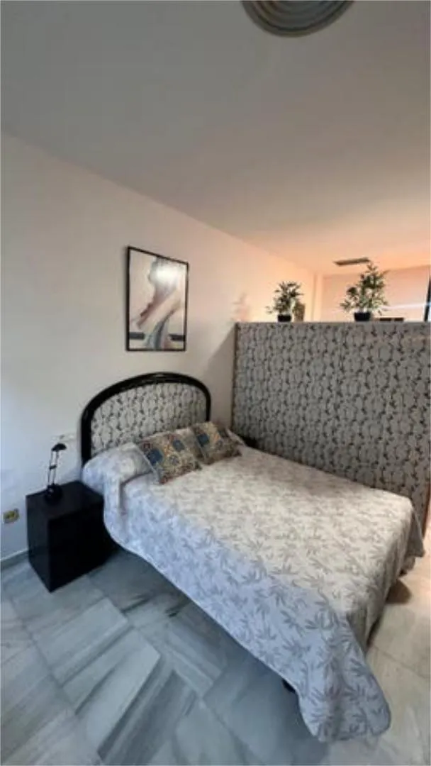 Apartamento en Plaza del Caballo - Foto 7