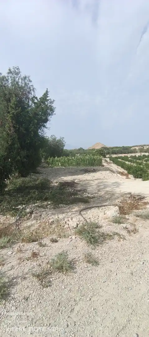 Finca rústica en  Autovía de Murcia 582 - Foto 7