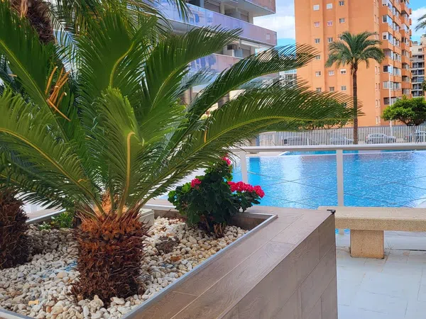 Piso en calle Gregal, 3