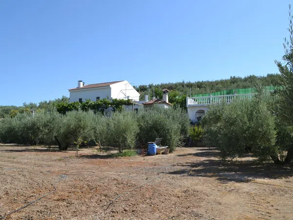 Finca rústica en Carretera rio San Juan, 313 - Foto 18