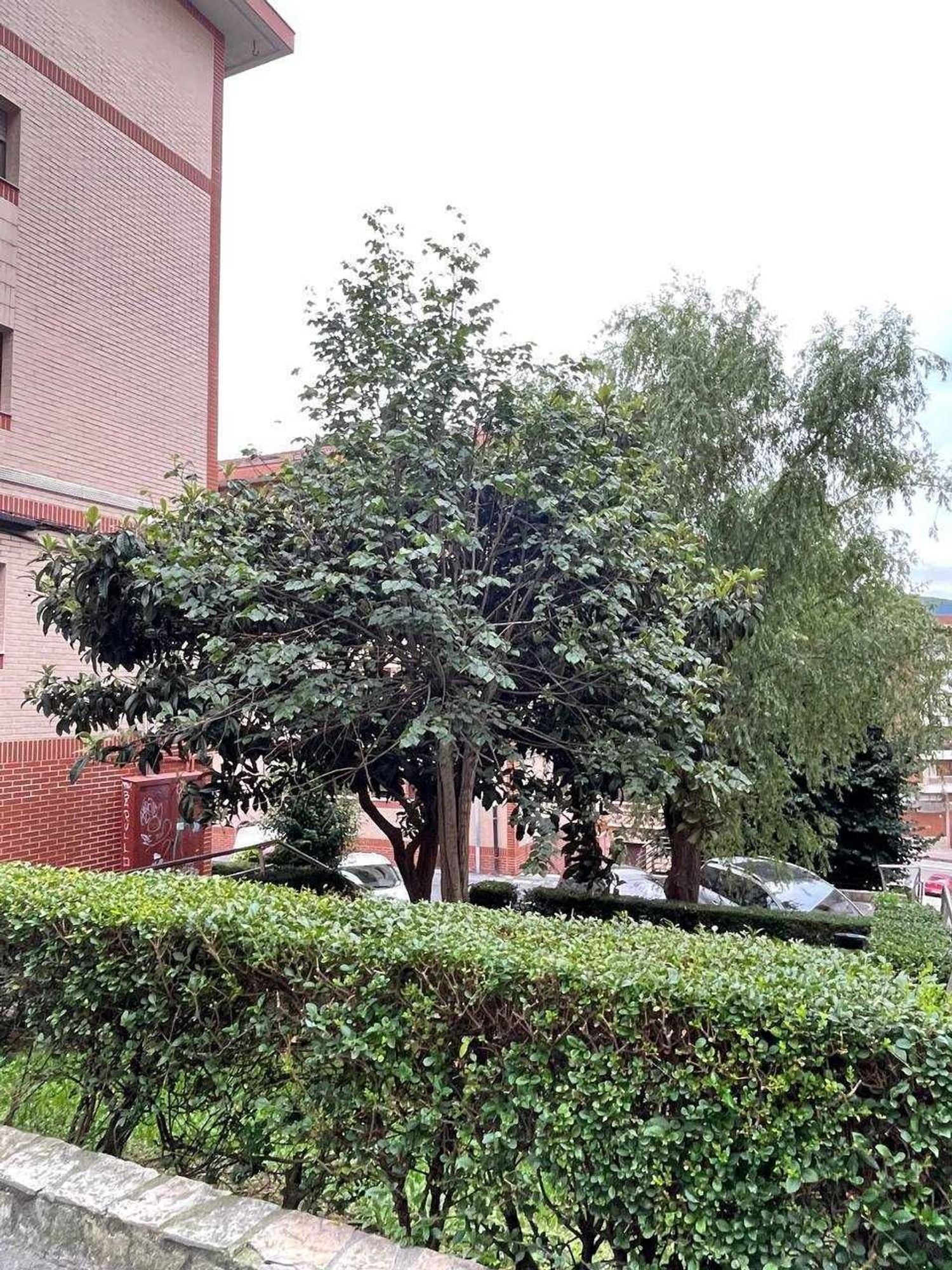 Piso en Sarrikue, 9, Arabella - Foto 6