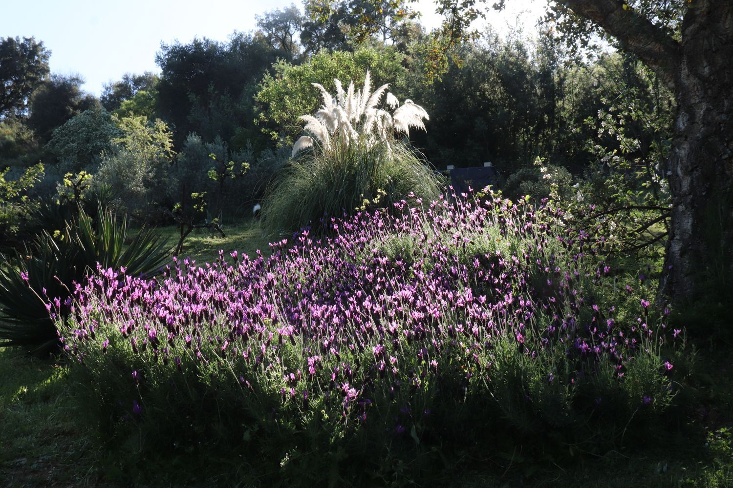 Chalet pareado en carretera Cc-431 s/n - Foto 39