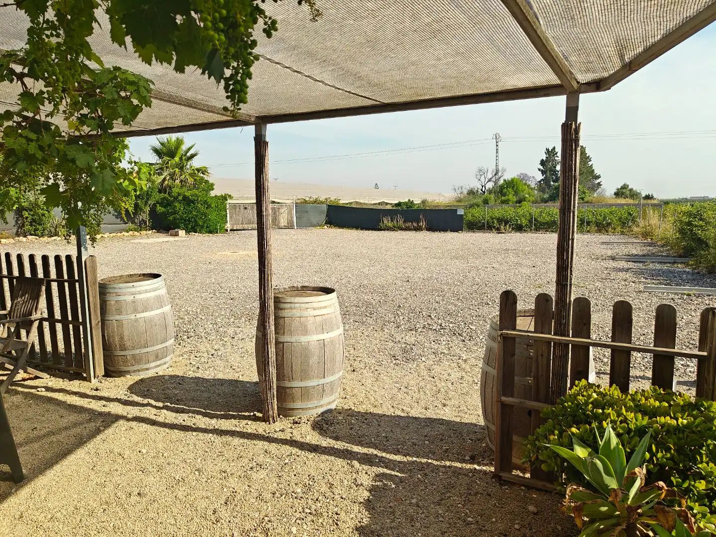 Finca rústica en Algemesí - Foto 16