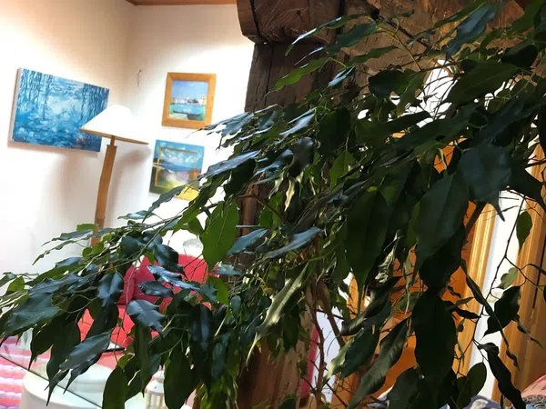 Ático en Calle Velarde, 1 - Foto 1