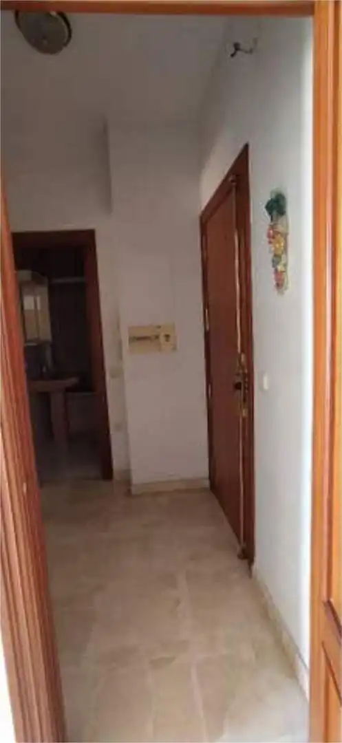 Piso en Paseo de los Tristes - Foto 7