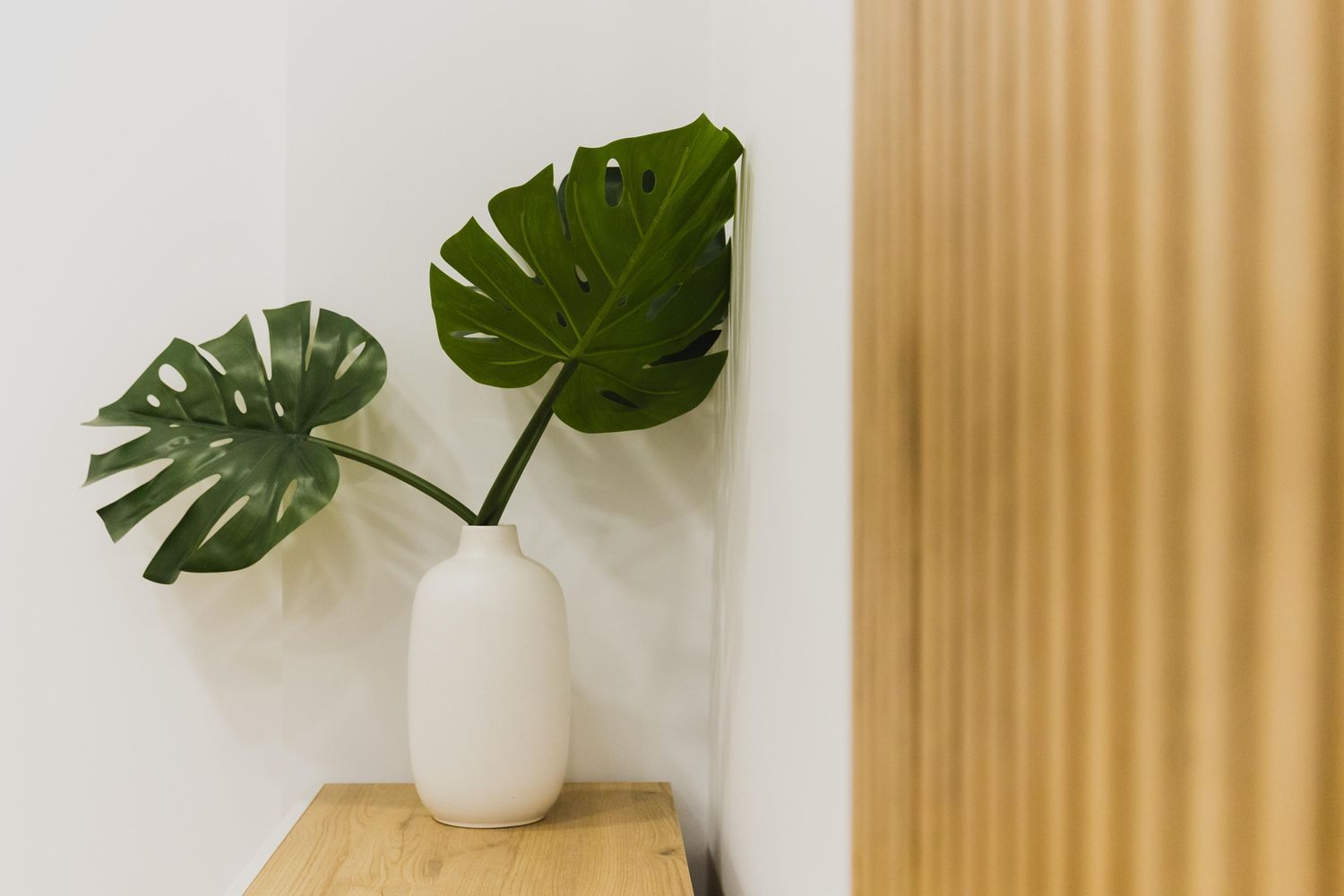 Estudio en Calle del General Vives, 1, Santa Catalina - Canteras - Foto 16