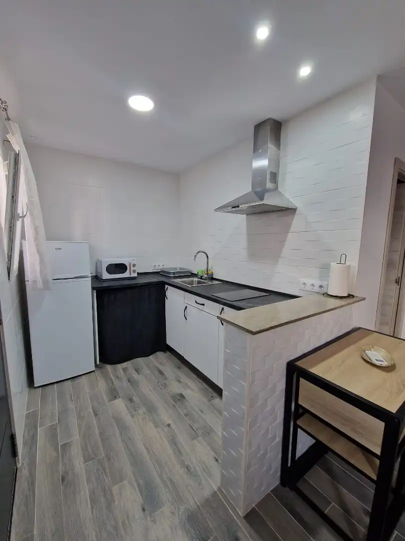 Estudio en  Avenida de la Diputación 4 - Foto 4