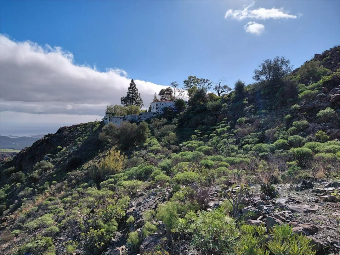 Finca rústica en calle Calle Espíritu Santo 15 - Foto 43