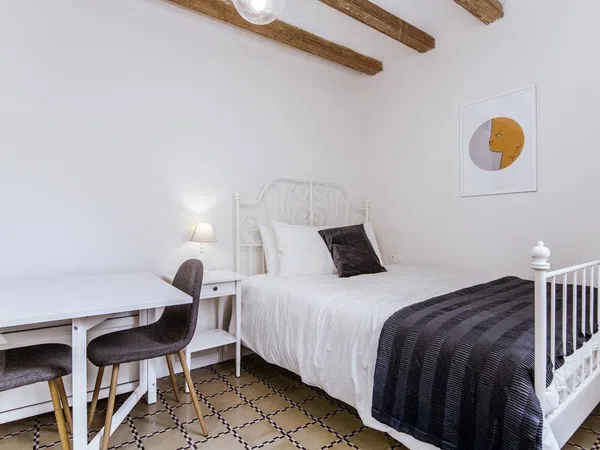 Dúplex en Calle Nou de Sant Francesc, 27, El Gòtic - Foto 7
