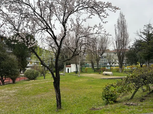 Piso en calle Mar de Fora, 11 - Foto 37