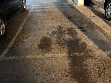 Piso en  Avenida de la Constitución 166 - Foto 4