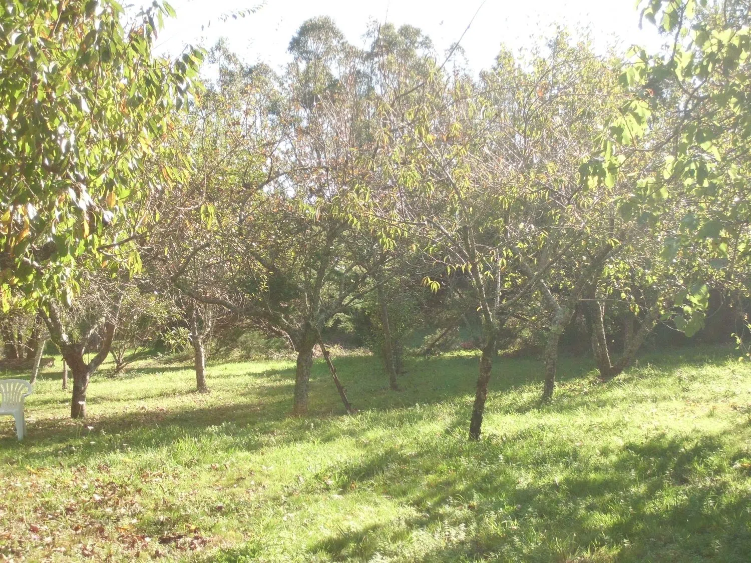 Finca rústica en Lugar Zaramacedo s/n - Foto 11