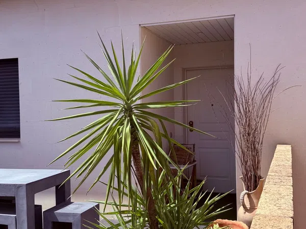Chalet adosado en Calle de Biel, 55, Valdefierro - Foto 5