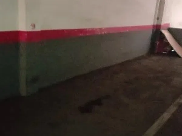 Garaje en Calle Bonestar, 36, La Gavarra, La Gavarra - Foto 3