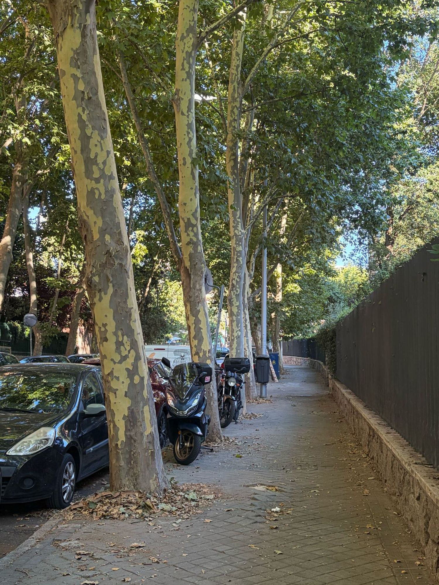 Piso en Calle del Cerro del Castañar, 179, Mirasierra - Foto 19