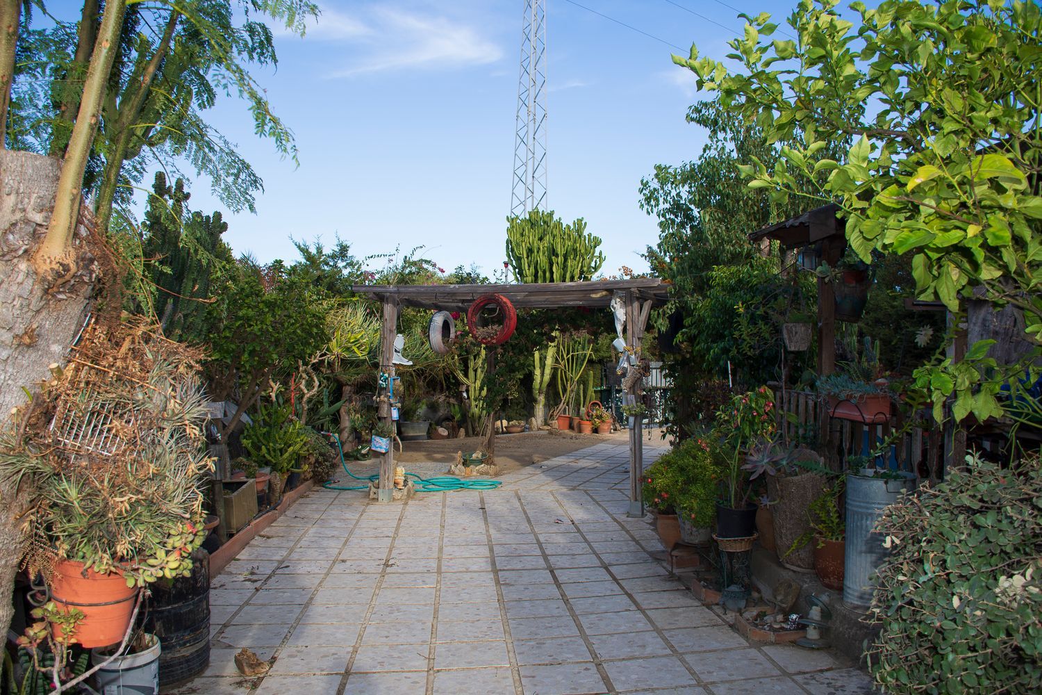 Casa rural en Calle Cerro Marcelo s/n - Foto 3