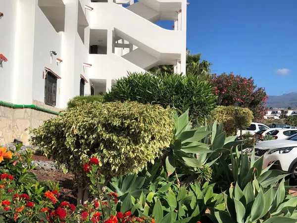 Piso en Avenida María Ángeles Ascanio Cullen, 15 B3, Golf del Sur-Amarilla Golf, Golf del Sur-Amarilla Golf - Foto 13