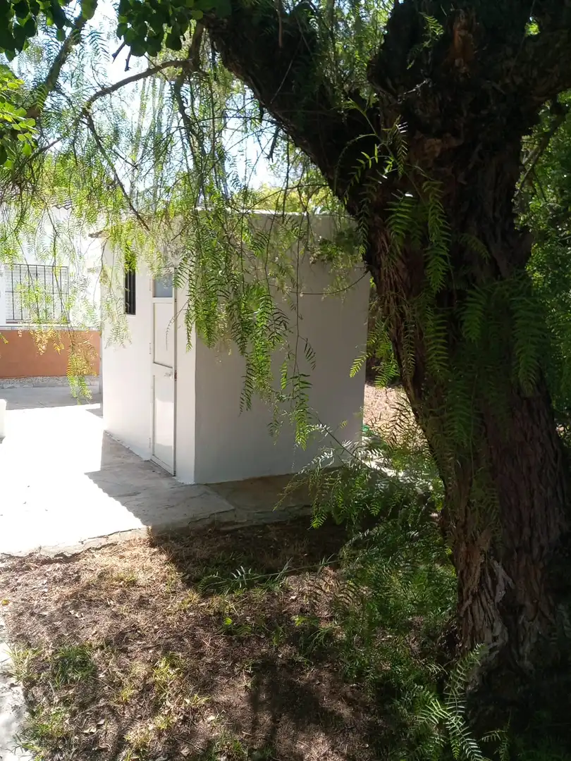 Finca rústica en  Calle Francisco Palacio Ortega 1 - Foto 10