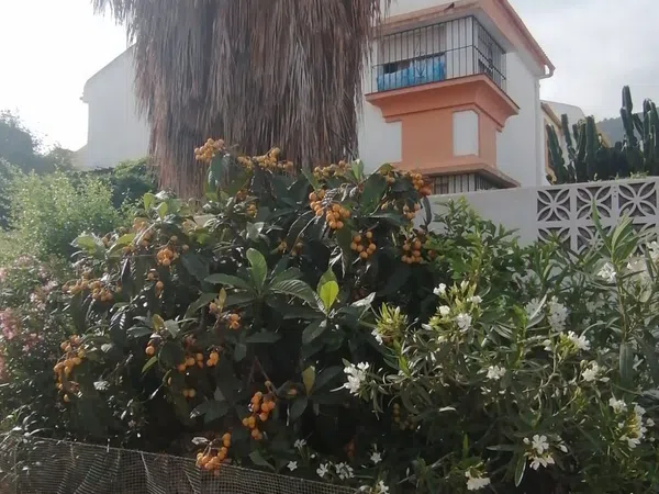 Chalet pareado en Calle Canoa, 8, Capellanía - Retamar, Capellanía - Retamar - Foto 20
