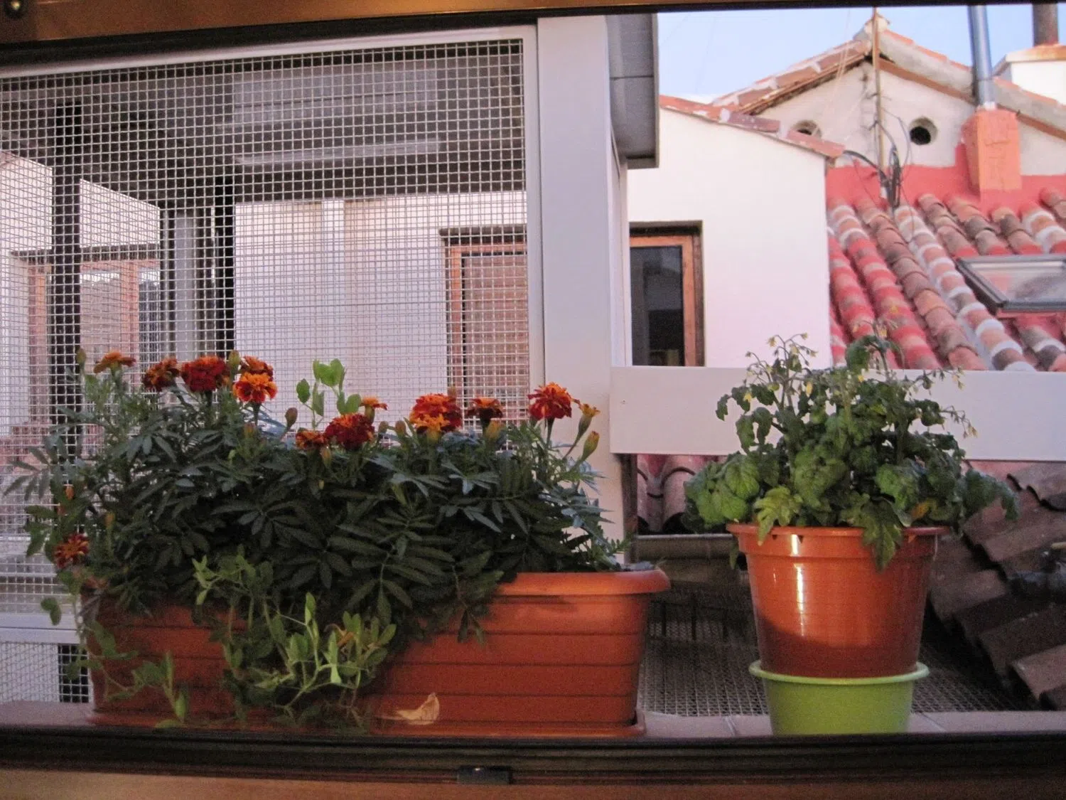 Ático en calle duque de alba, 10 - Foto 9