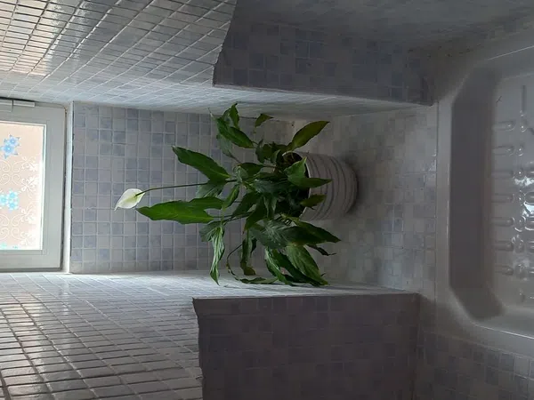 Ático en calle de los Artistas, 21 - Foto 8