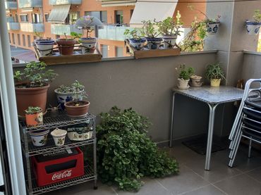 Piso en  Carrer de Prat de la Riba 15 - Foto 4
