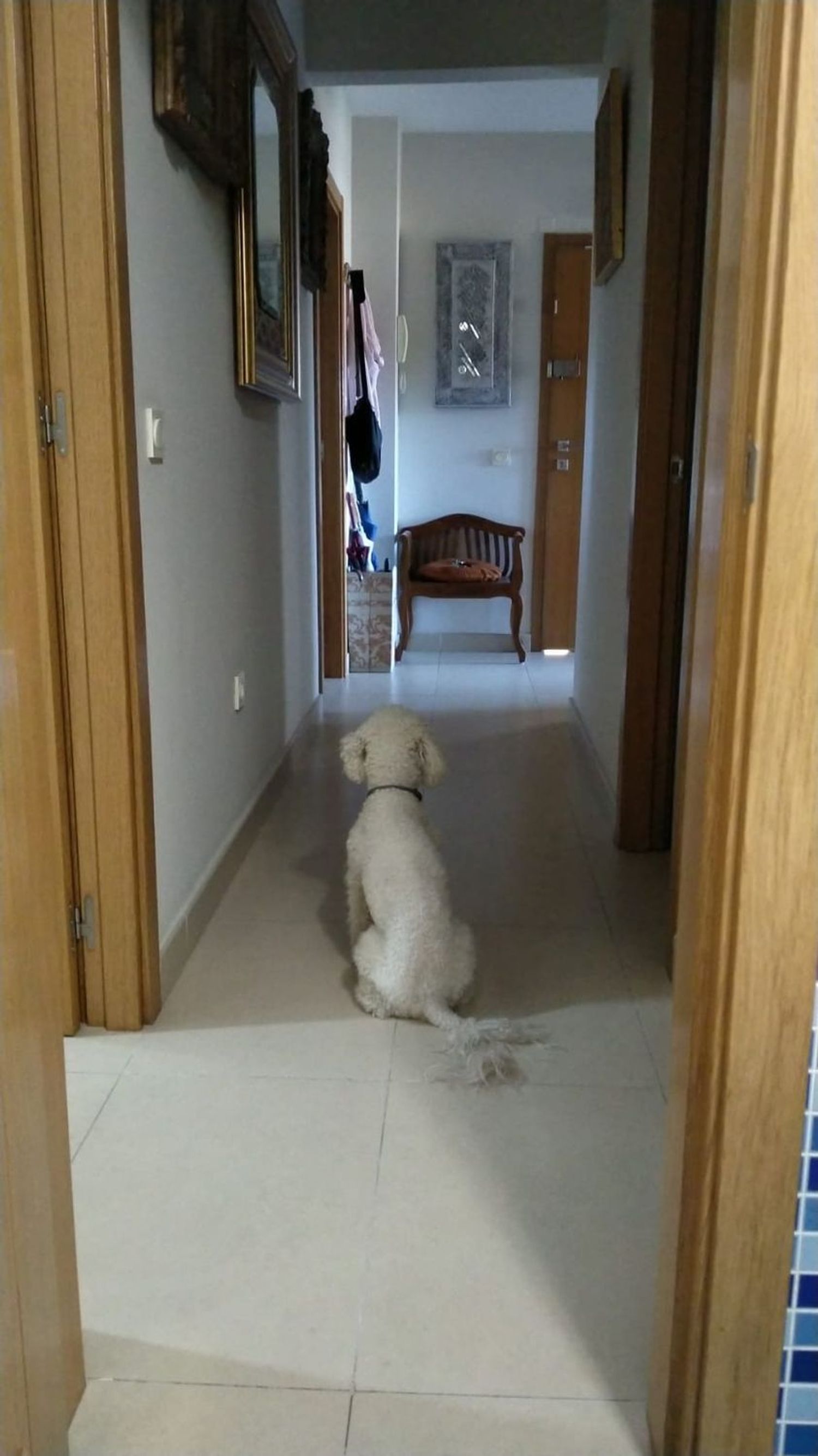 Piso en Parroco Florencio Aguilar, 4 - Foto 7