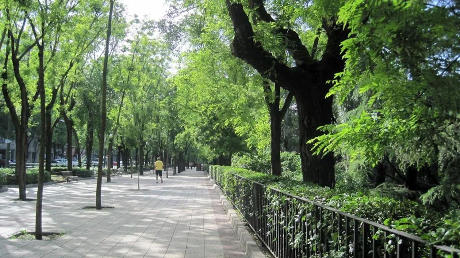 Piso en Paseo del Pintor Rosales - Foto 3