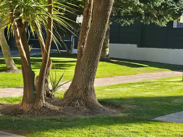 Casa independiente en El Olivar de Mirabal - Foto 17