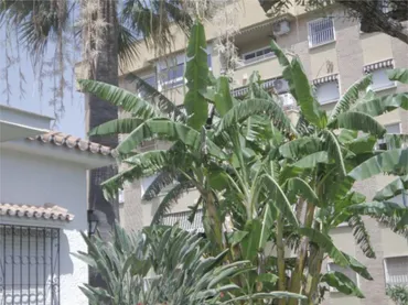 Chalet en  Calle Don Diego de Miranda 6 - Foto 8