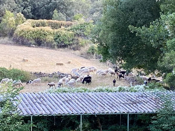 Casa rural en Sigüenza - Foto 4