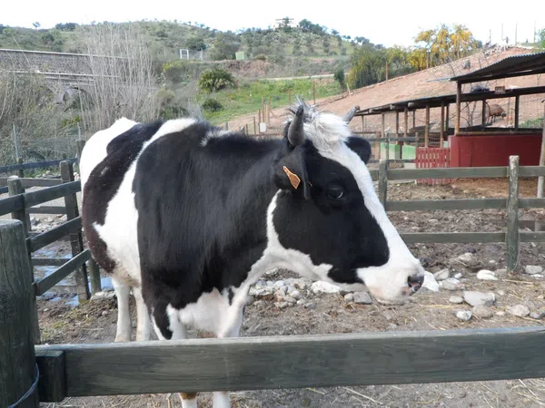 Casa rural en Paraje Amasaderos, 200 - Foto 8