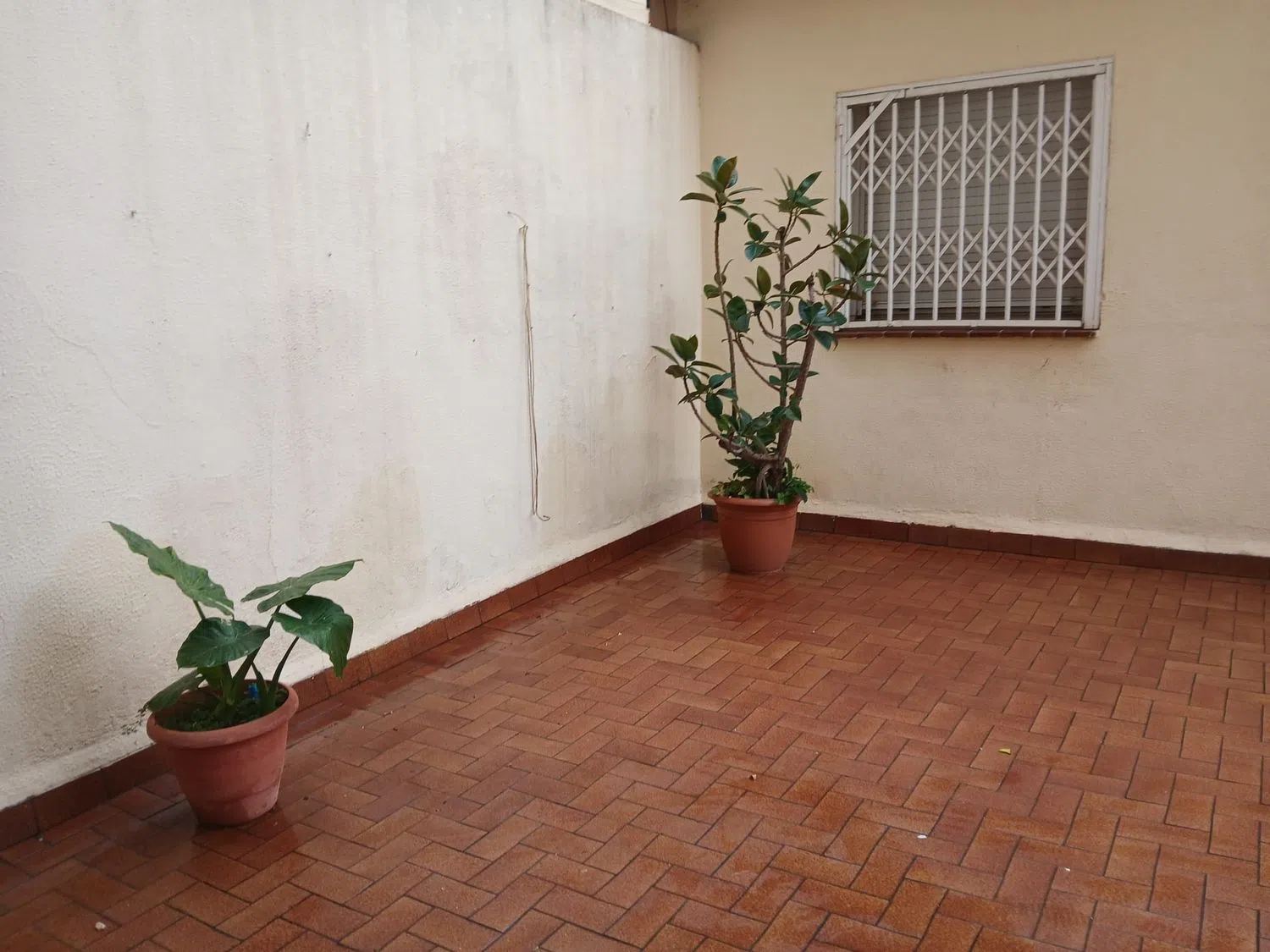 Piso en Sicilia 240, 240 - Foto 6
