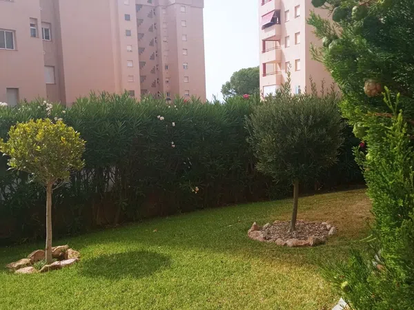 Piso en Calle Teodoro Llorente, 16, Campoamor - Foto 29